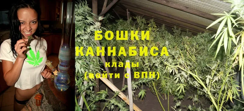 Марихуана White Widow  где можно купить наркотик  Дальнегорск 